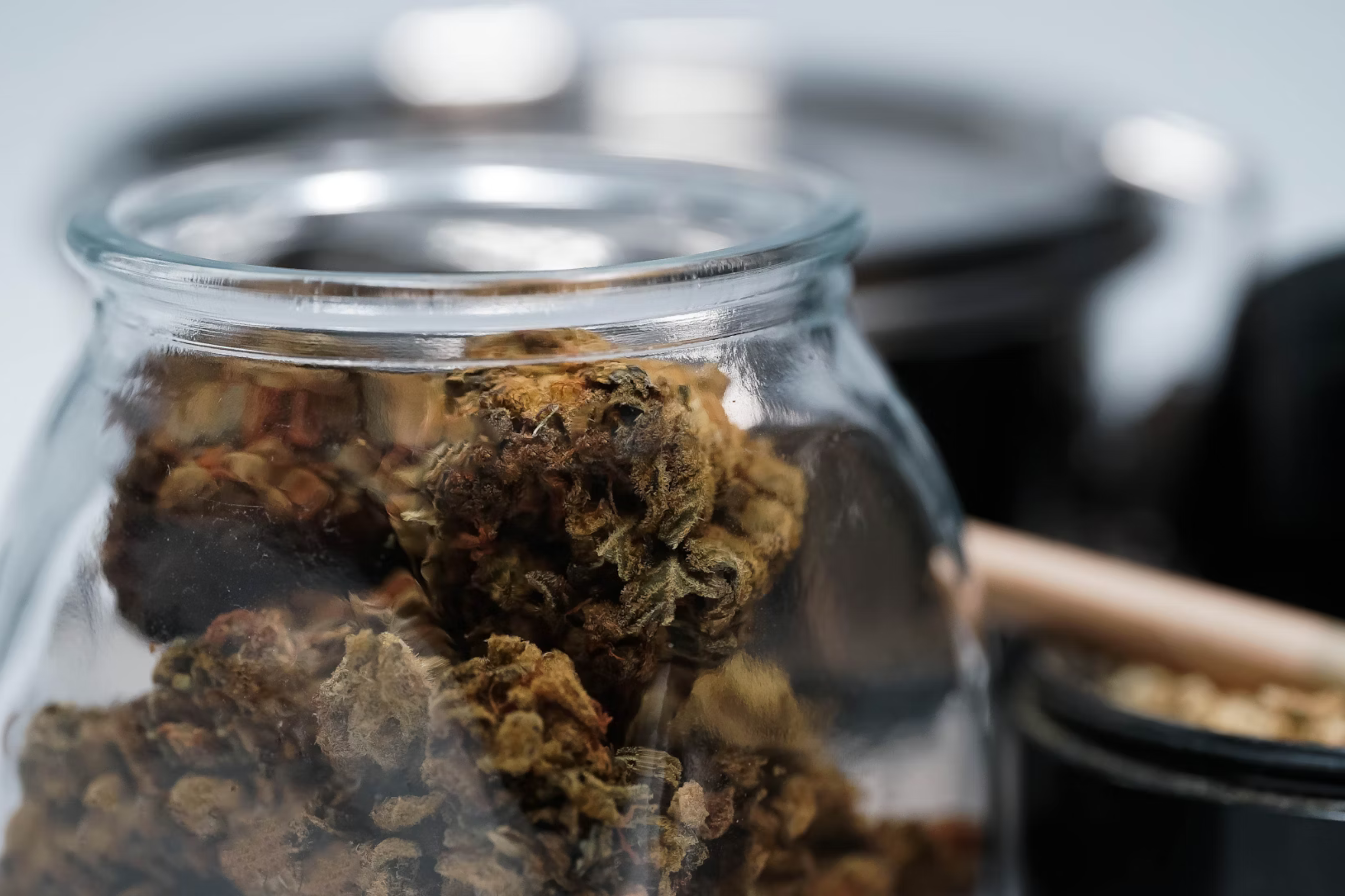 Nature's Canopy House A glass jar filled with dried cannabis buds is in focus, with the blurred background showcasing more containers and a wooden spoon. This premium product from Natures Canopy House exemplifies the quality you can expect from your local dispensary in Mississauga. Dispensary In Mississauga