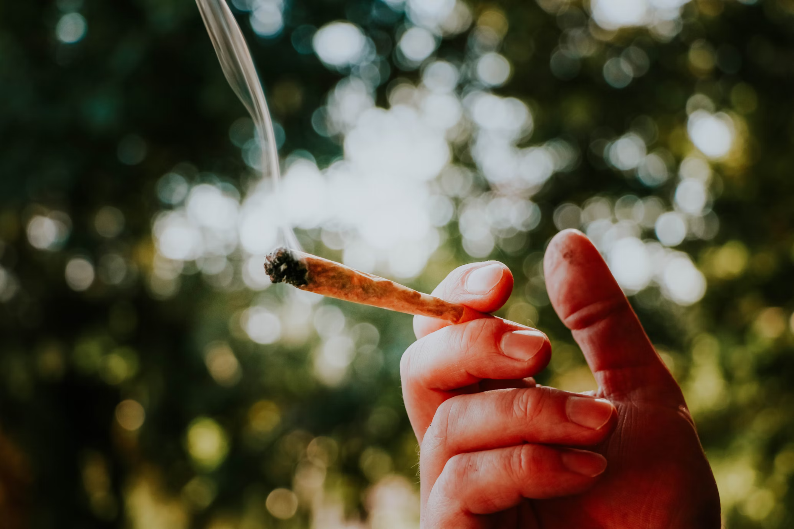 Nature's Canopy House A hand holding a lit cigarette with smoke rising against a blurred background of green foliage, reminiscent of the serene environment surrounding Natures Canopy House. Dispensary In Mississauga