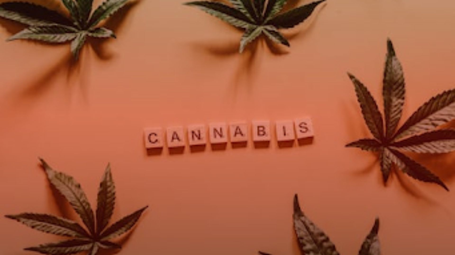 Cannabis Dize Background