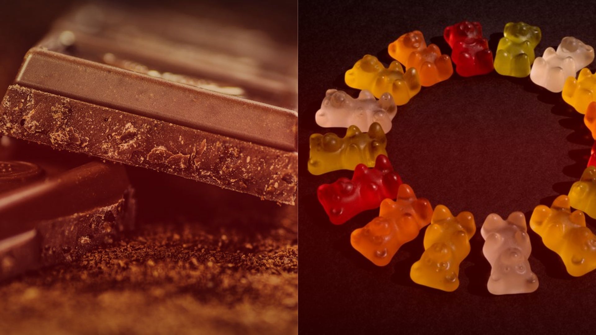 Nature's Canopy House Dark chocolate pieces on the left and a circle of colorful gummy bears on the right, available at Natures Canopy House. Dispensary In Mississauga