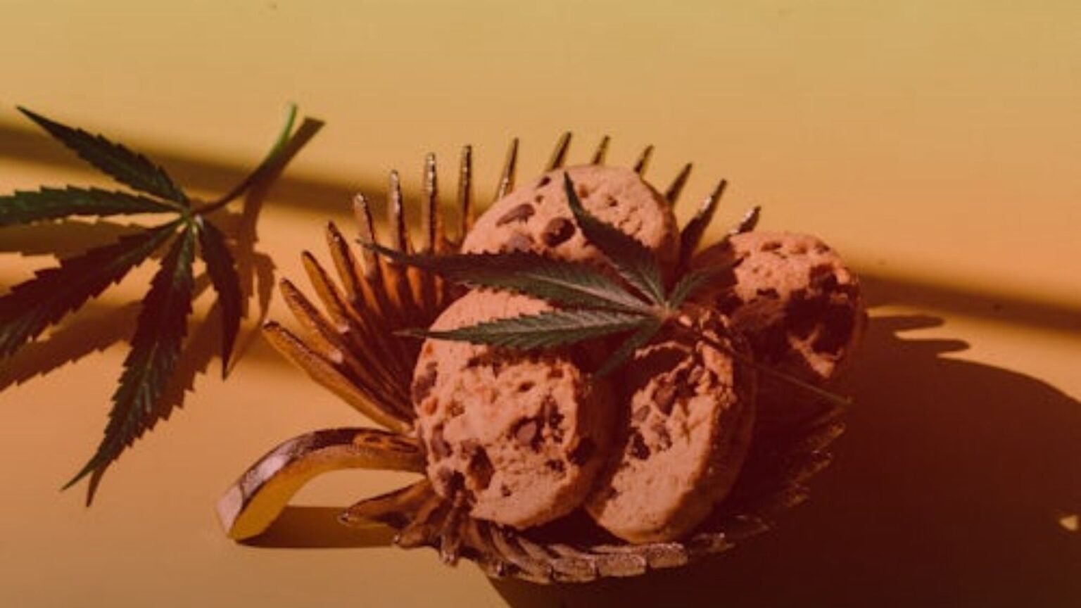 Nature's Canopy House Cookies in a shell-shaped bowl with a cannabis leaf on top, set against a yellow background. Dispensary In Mississauga