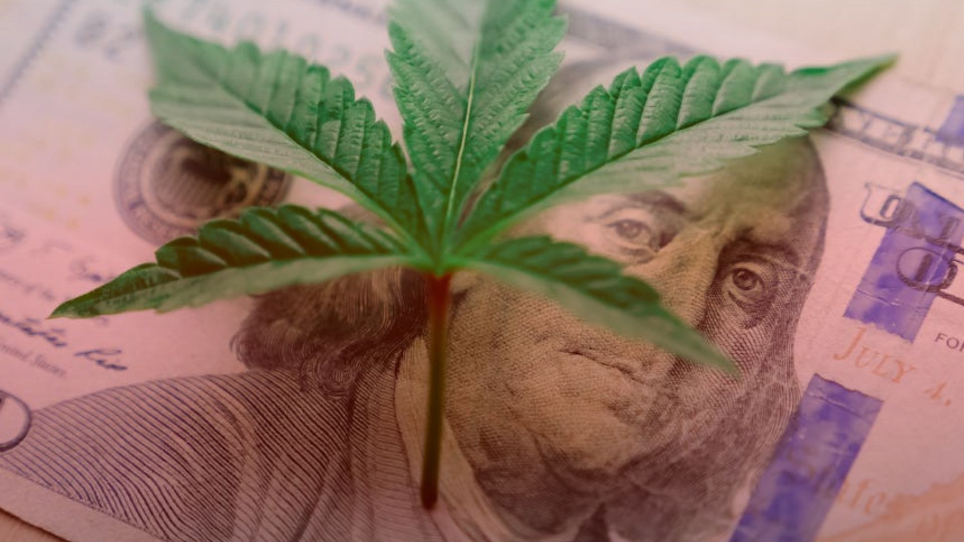 Nature's Canopy House A cannabis leaf placed on top of a US hundred-dollar bill featuring Benjamin Franklin's portrait. Dispensary In Mississauga