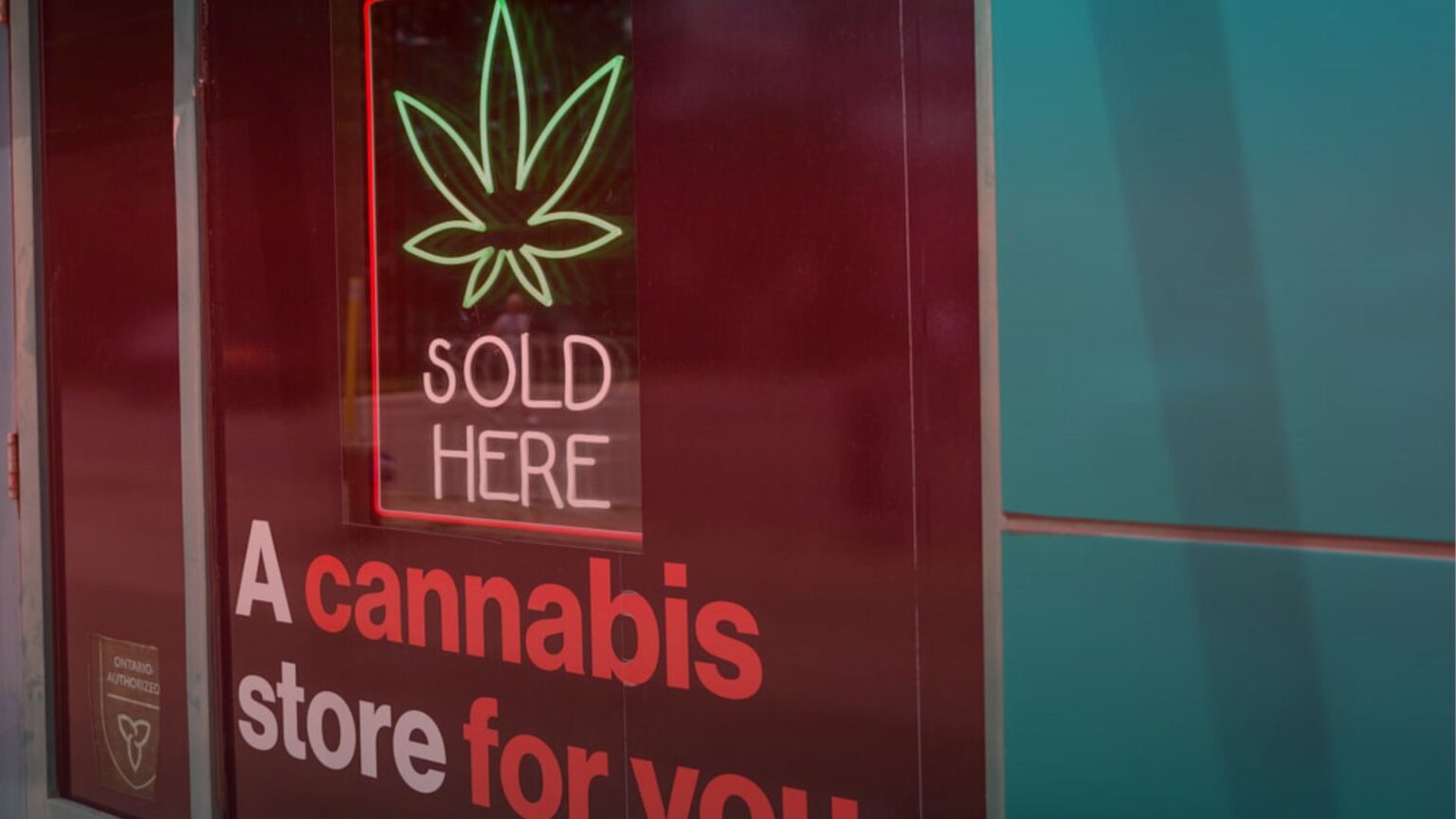 Nature's Canopy House Sign indicating a cannabis store with a glowing neon leaf and text "SOLD HERE. Dispensary In Mississauga