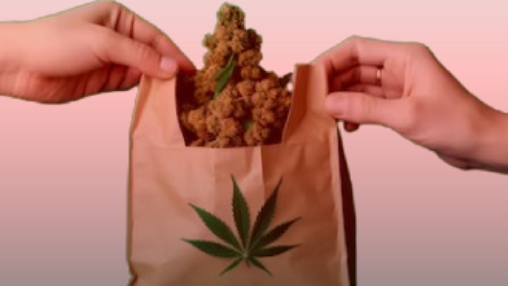 Nature's Canopy House Two hands holding a brown paper bag with a cannabis leaf symbol, filled with cannabis buds. Dispensary In Mississauga