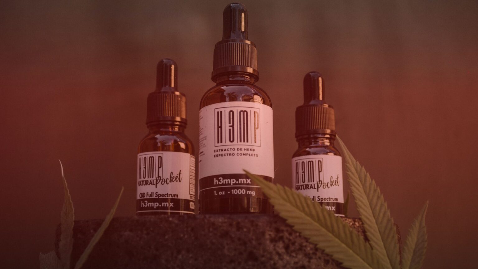 Nature's Canopy House Three amber dropper bottles labeled "H3mp" rest on a stone slab, accompanied by cannabis leaves. Experience the essence of Tailored Cannabis Solutions in each carefully crafted bottle. Dispensary In Mississauga