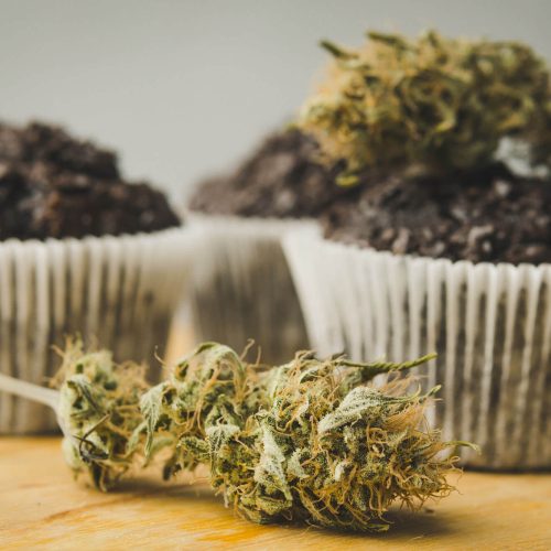 Nature's Canopy House Cannabis-infused chocolate muffins with raw buds on display, available at Cannabis stores in North York. Dispensary In East York and York